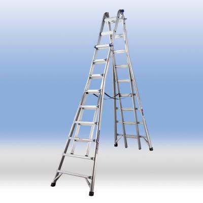 Ferris Ladder