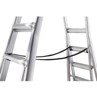 Ferris Ladder