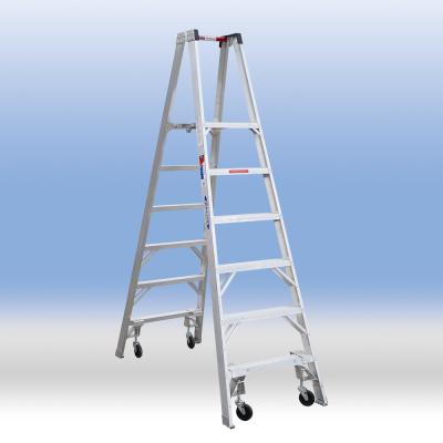 Double Side Platform Step Ladder