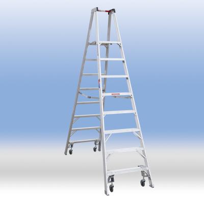 Double Side Platform Step Ladder