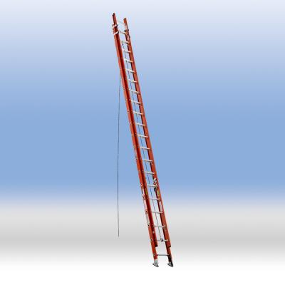 D-type Two-section Extension Ladder with Treadle (industrial grade)